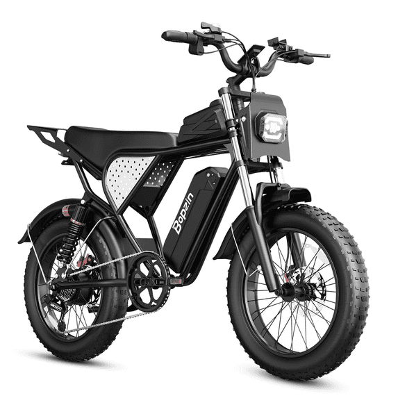 750W 20Mph Electric Bike,48V 25Ah,Max 80Miles E-Bike,20" Fat Tire Electric Bicycle for Adults,Disc Brakes,cTUVus Certified,Class 2