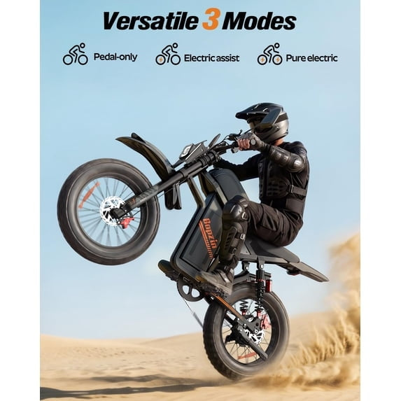Peak 3000W 45Mph Electric Dirt Bike for Adults, 60V 35Ah, 20"Fat Tire E-Dirt Bike for Snow,Beach TUV Rheinland Certified,Disc Brakes